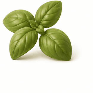 basil